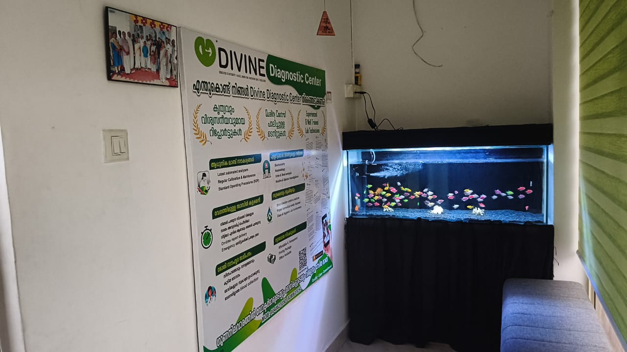Divine Diagnostic Centre reception at Edayakunnam